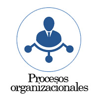 Procesos organizacionales